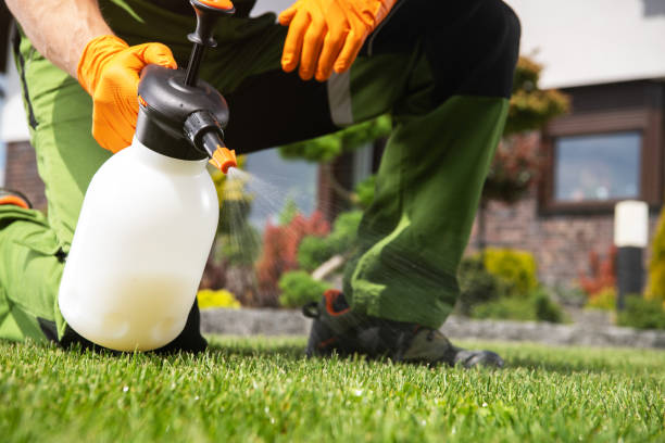 Best Local Pest Control Services  in Silverton, OR