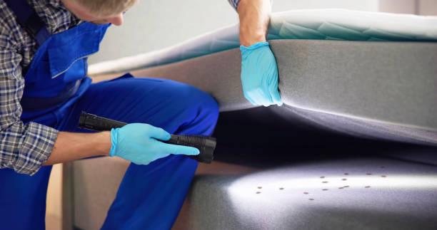 Best Cockroach Control Services  in Silverton, OR