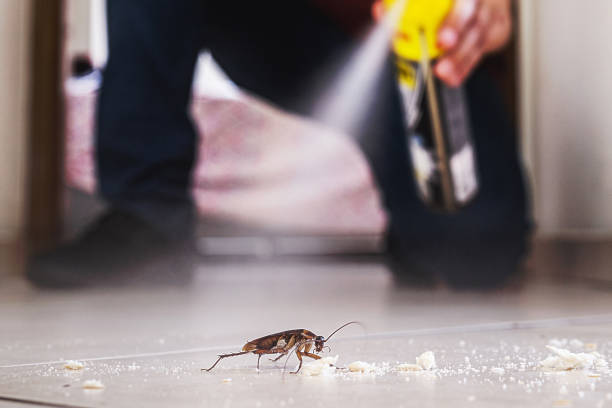 Best Exterminator Services  in Silverton, OR