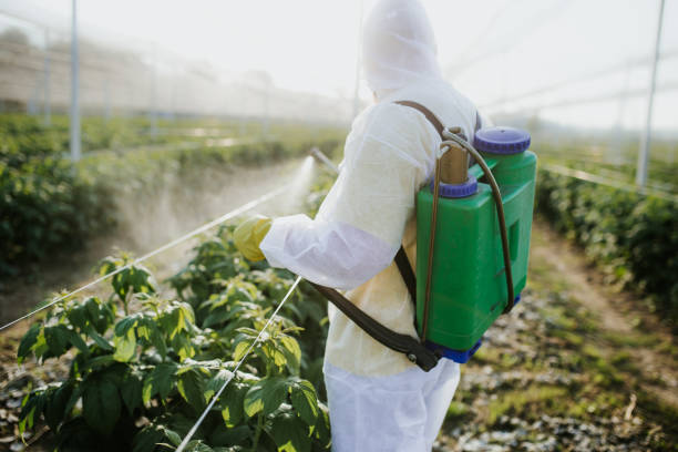 Professional Pest Control in Silverton, OR